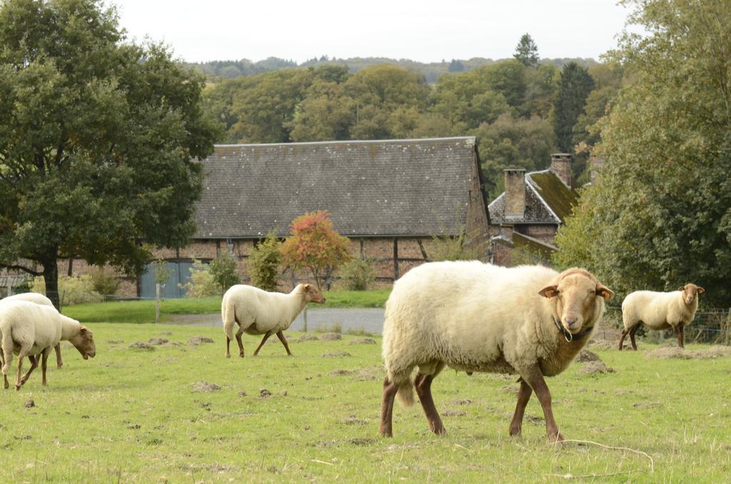 B&B Ferme de Leuze Rustieke Gîtes Somme-Leuze Exterior foto